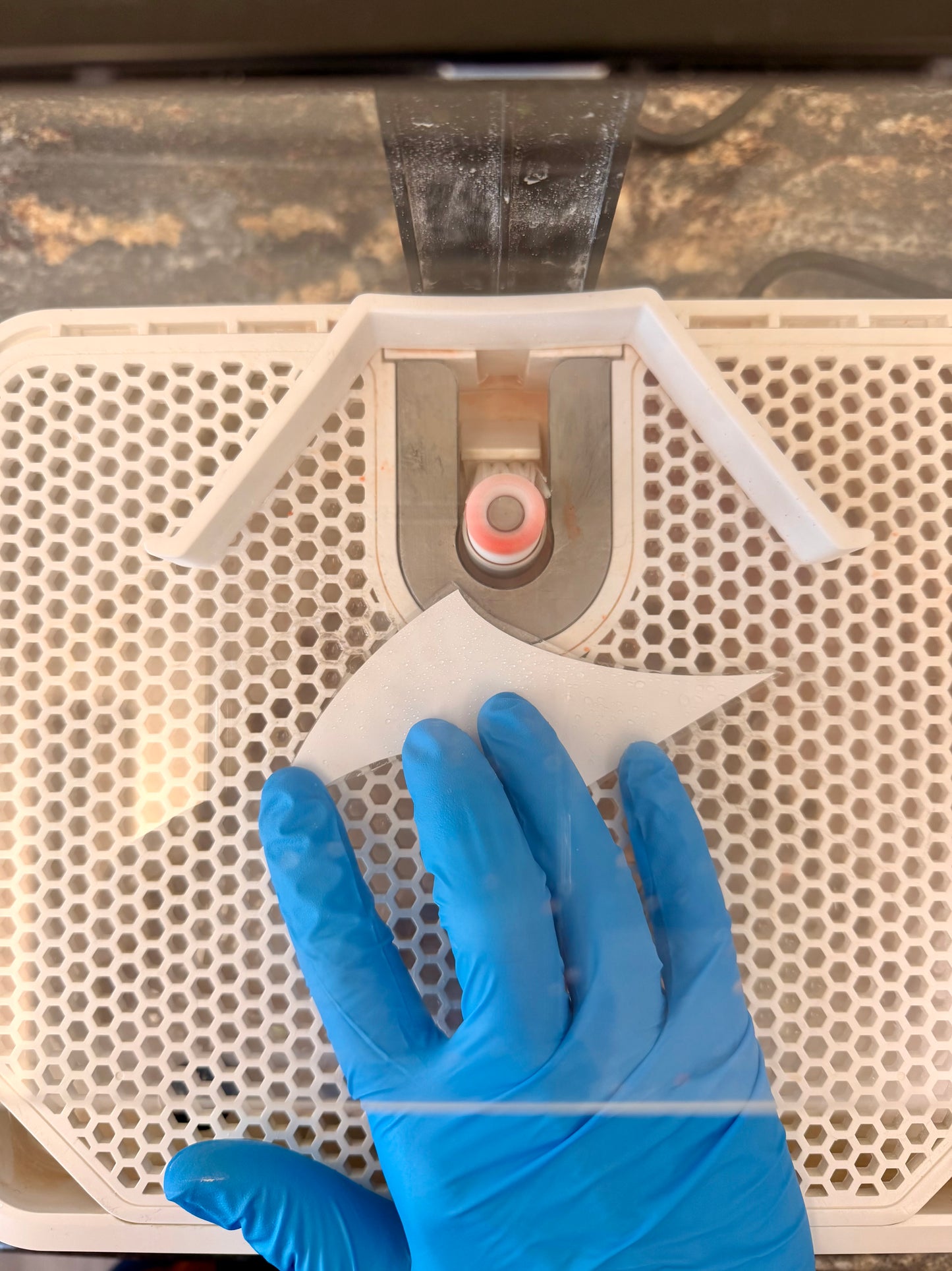 Stained Glass Tulip Sun Catcher Workshop