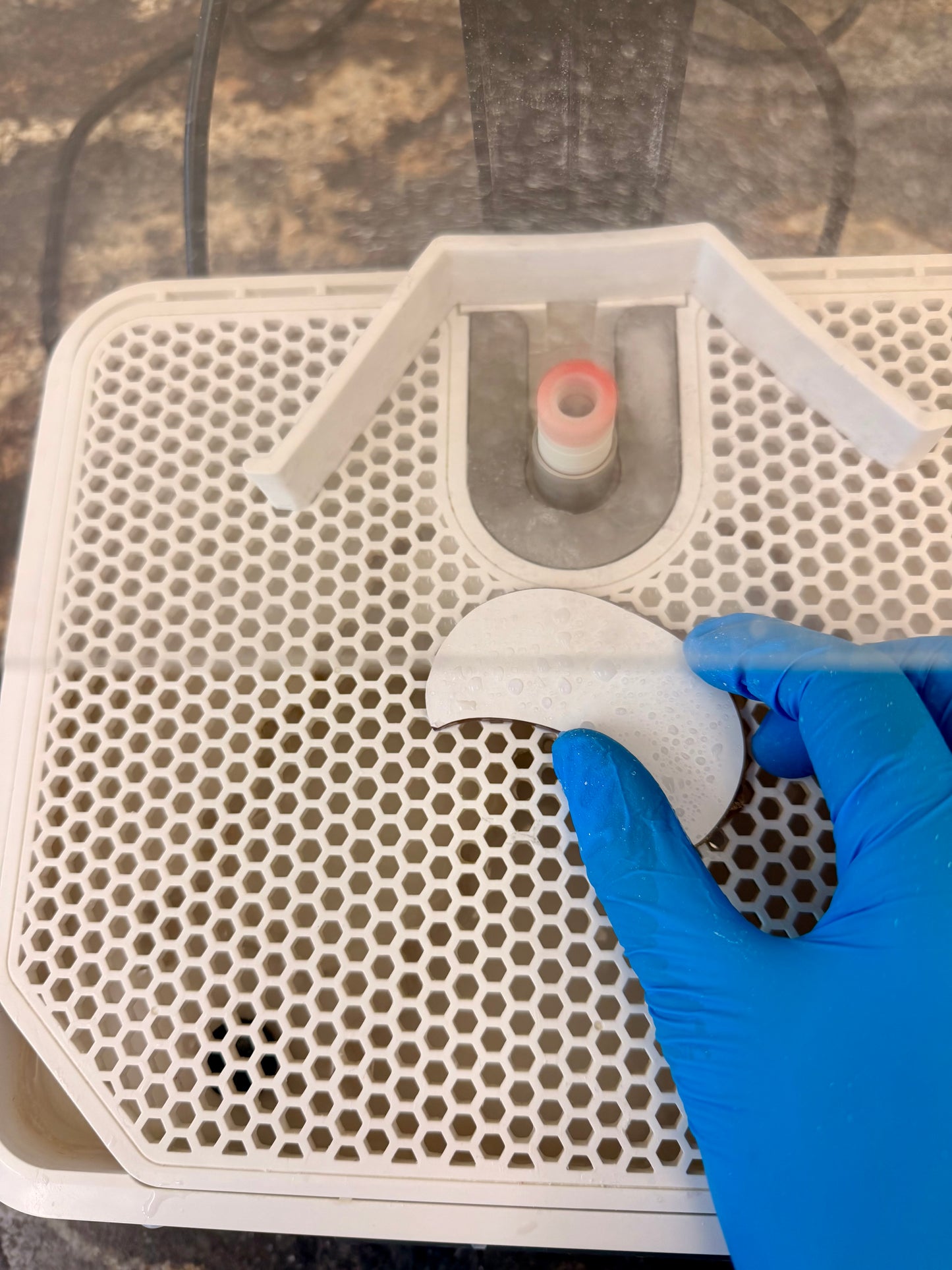 Stained Glass Heart Sun Catcher Workshop