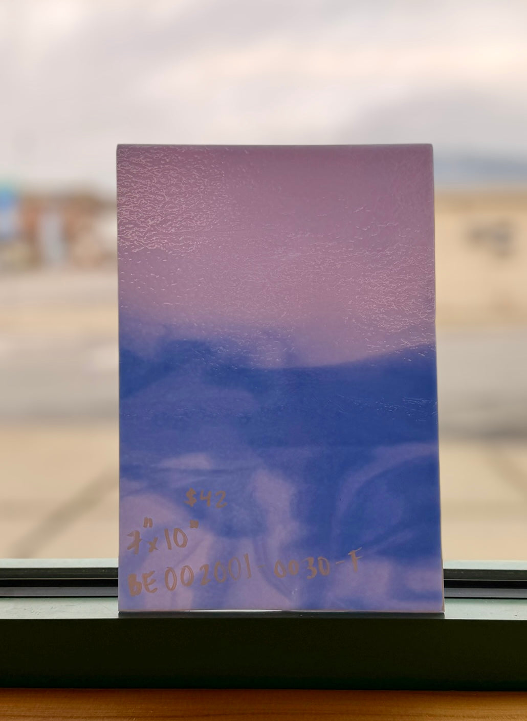 Bullseye Hydrangea Limited Run