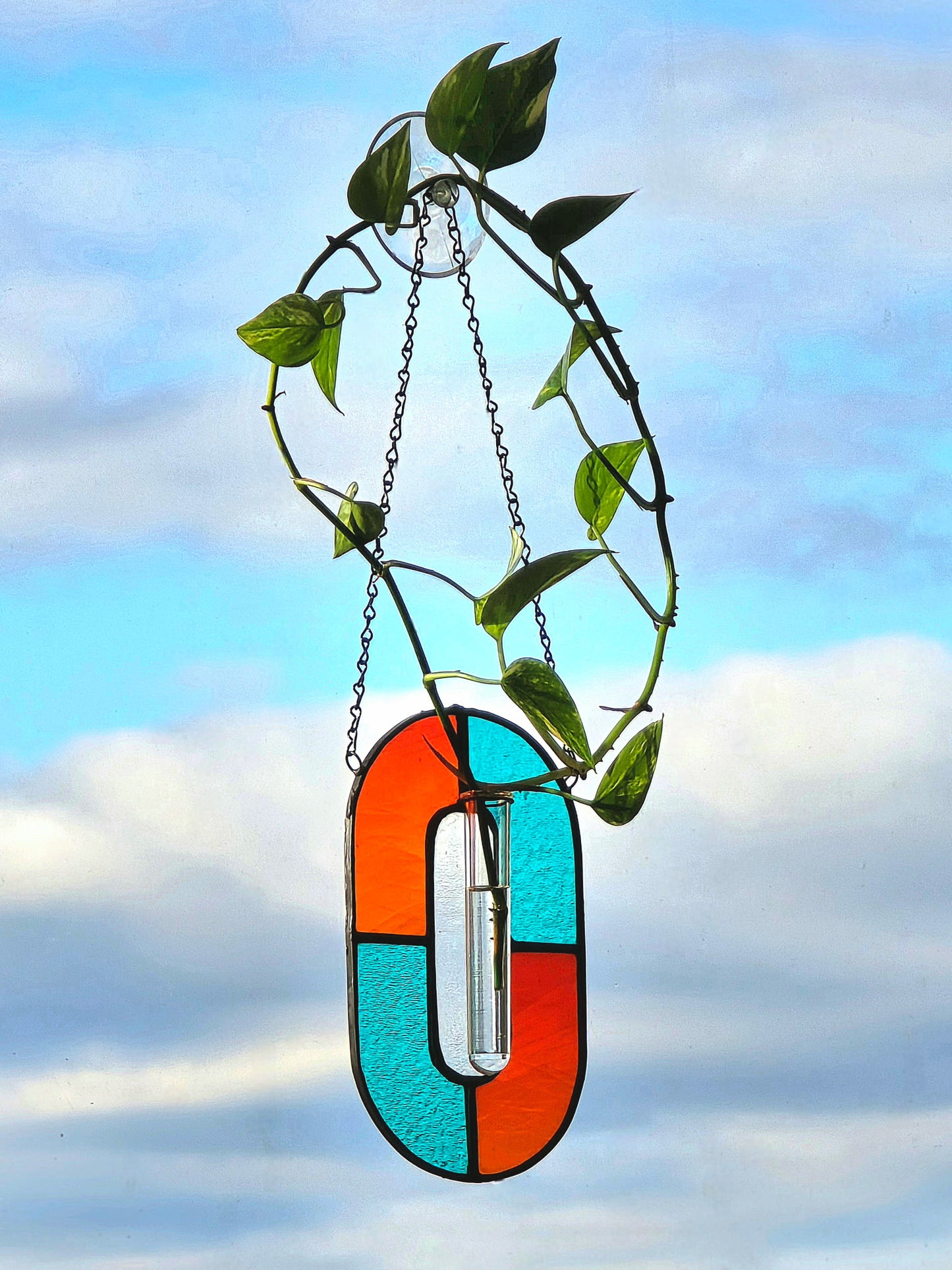 Stained Glass Hanging Plant Propagation Workshop