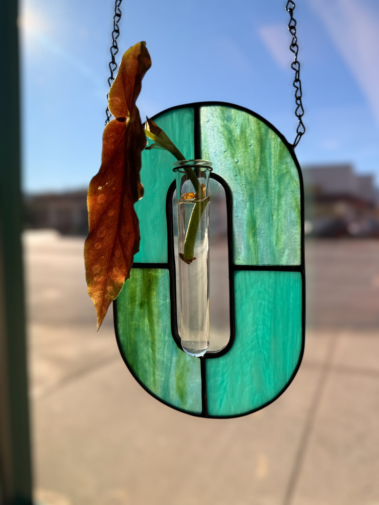 Stained Glass Hanging Plant Propagation Workshop