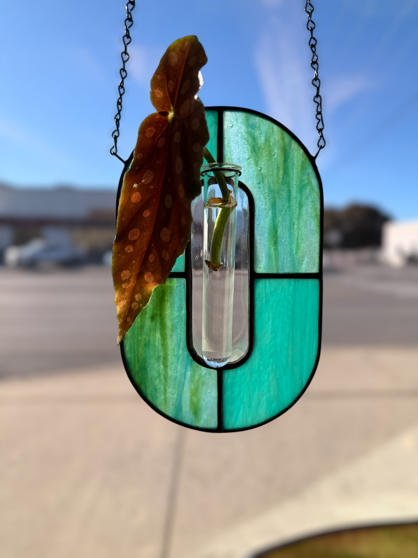 Stained Glass Hanging Plant Propagation Workshop