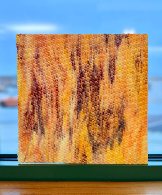 Uroboros by Youghiogheny | Indian Corn 12"x12"