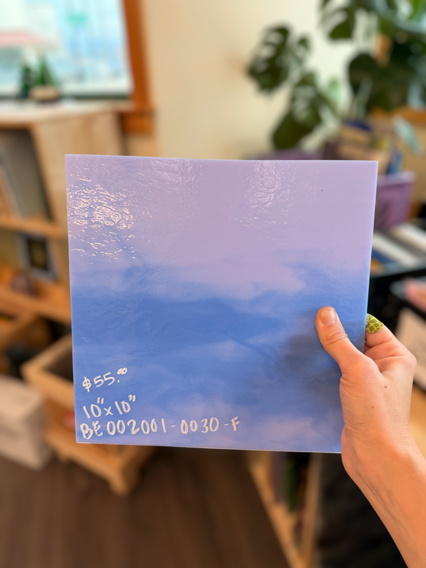 Bullseye Hydrangea Limited Run