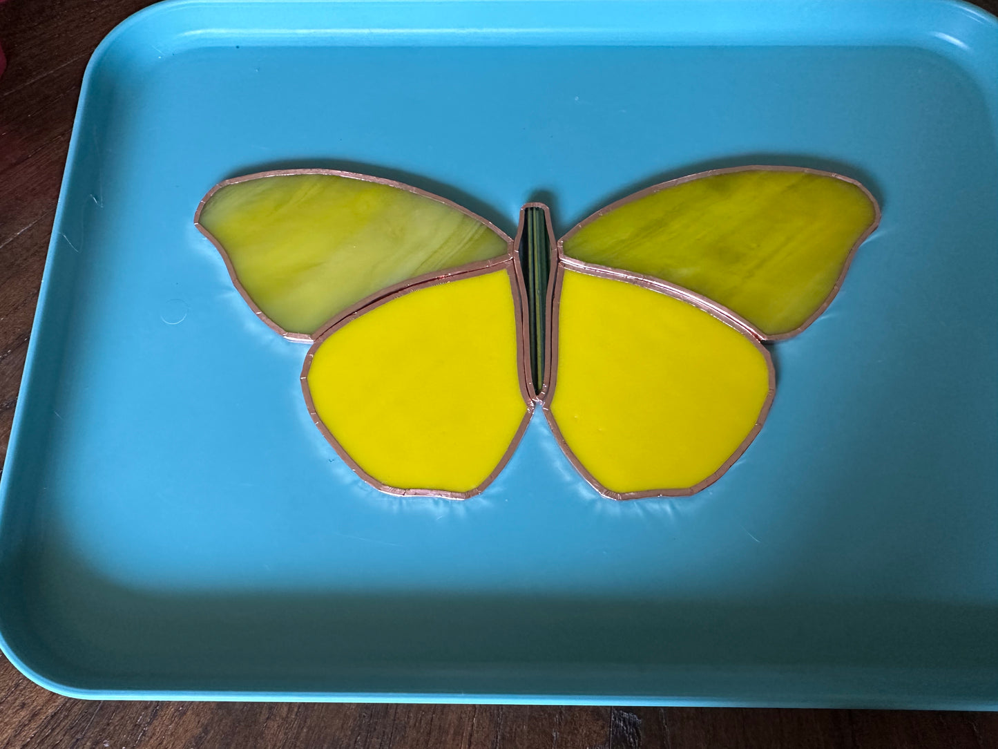 Wild Trails | Stained Glass Workshop