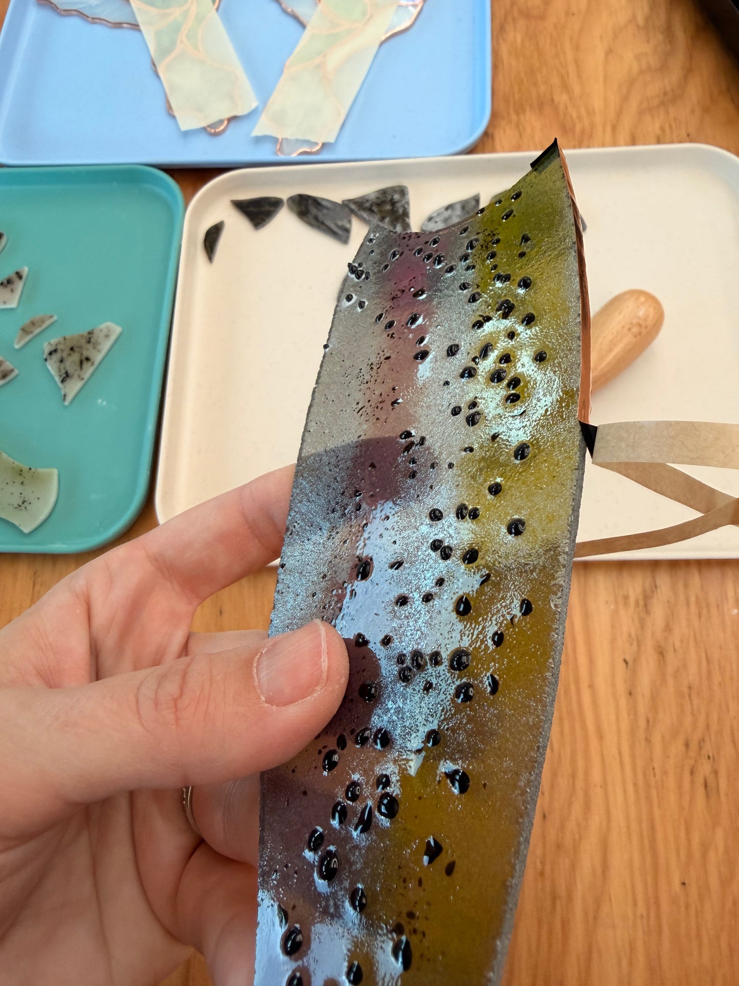 Fuse & Solder: Special Edition Trout Workshop