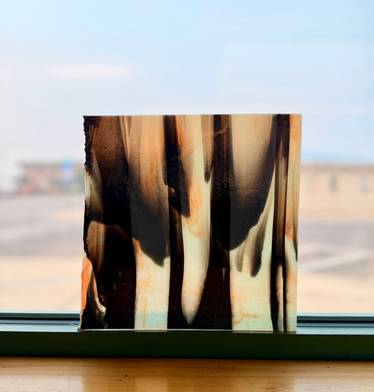 Youghiogheny 96 | Tiger Stripes